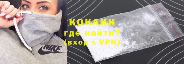 гашик Инсар