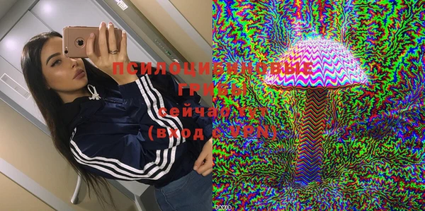 гашик Инсар