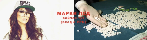 гидропоника Каменка