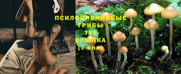 соль ск Зеленокумск