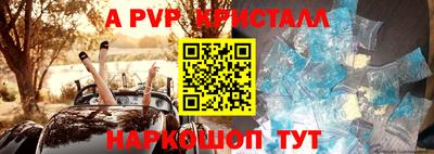 прущие крисы Гусев