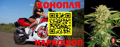 прущие крисы Гусев
