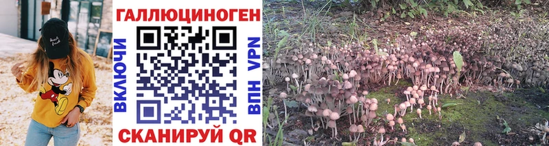 Псилоцибиновые грибы Psilocybine cubensis  shop телеграм  Кубинка 