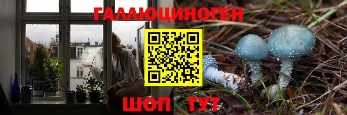 Кубинка  Галлюциногенные грибы мухоморы  Вход с VPN  Галлюциногенные грибы Psilocybe 