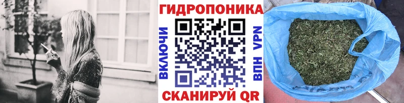 shop какой сайт  Кубинка  Бошки марихуана SATIVA & INDICA  купить закладку  mega tor 